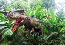 Αργεντινή: Επιστήμονες ανακάλυψαν τον σχεδόν πλήρη σκελετό ενός από τα παλαιότερα είδη δεινοσαύρων στον κόσμο