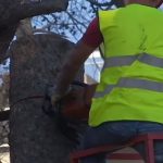 ΕΙΔΗΣΕΙΣ ΣΕ ΒΙΝΤΕΟ: Αγώνας δρόμου για την αποκατάσταση των ζημιών στο Μάτι