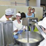 Δωρεάν σπουδές τυροκομίας στη κορυφαία Γαλακτοκομική Σχολή Ιωαννίνων