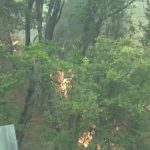 ΕΙΔΗΣΕΙΣ ΣΕ ΒΙΝΤΕΟ: Ελπίδες για τη μάχη κατά των φονικών πυρκαγιών στην Καλιφόρνια δημιουργούν οι ηπιότεροι άνεμοι