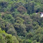 Χαλκιδική: Σε κατάσταση επιφυλακής η Χαλκιδική λόγω κινδύνου εκδήλωσης πυρκαγιάς