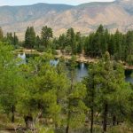 Πολύ υψηλός κίνδυνος πυρκαγιάς (κατηγορία κινδύνου 4) για αύριο Τετάρτη 05 Σεπτεμβρίου 2018