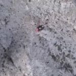 ΕΙΔΗΣΕΙΣ ΣΕ ΒΙΝΤΕΟ: Βίντεο από τη διάσωση δύο Γάλλων ορειβατών στον Ταΰγετο