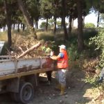 ΕΙΔΗΣΕΙΣ ΣΕ ΒΙΝΤΕΟ: Θεσσαλονίκη – Εκστρατεία καθαρισμού τμήματος του δάσους του Σέιχ Σου