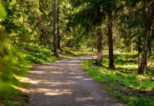 Δημήτρης Μιχαηλίδης: Άγρια ζώα, Έλληνες, κρασί, Αγρότισσα