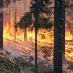Κλίμα-ΟΗΕ: Τα Ηνωμένα Έθνη προειδοποιούν για αύξηση 30% των δασικών πυρκαγιών μέχρι το τέλος του 2050 εξαιτίας της κλιματικής αλλαγής
