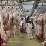 Οι τιμές τροφίμων παγκοσμίως- Της Ειρήνης Αιμονιώτη