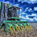 Αγροτικά: Οι προδιαγραφές για την παράδοση βαμβακιού