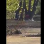 ΕΙΔΗΣΕΙΣ ΣΕ ΒΙΝΤΕΟ: Διάσωση 27χρονου άντρα στην Εύβοια