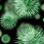 Μια μικροβιακή «Κιβωτό του Νώε» προτείνουν επιστήμονες, για να προστατευθεί η παγκόσμια υγεία στο μέλλον