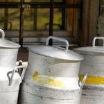 Κτηνοτροφία: Καθορίστηκαν τα πρόστιμα για παραγωγούς και αγοραστές γάλακτος