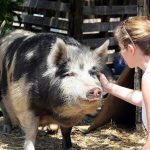 Κωνσταντίνος Μπούμπας: Προβλήματα αγροκτηνοτρόφων