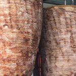 Life: Στη λίστα με τα 50 καλύτερα πιάτα του κόσμου τέσσερα ελληνικά φαγητά