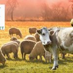 Κτηνοτροφία: Νέες τεχνολογίες στην υπηρεσία των κτηνοτρόφων