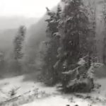 ΕΙΔΗΣΕΙΣ ΣΕ ΒΙΝΤΕΟ: Χιονίζει σε Τρίκαλα και Κοζάνη – στους δρόμους μηχανήματα