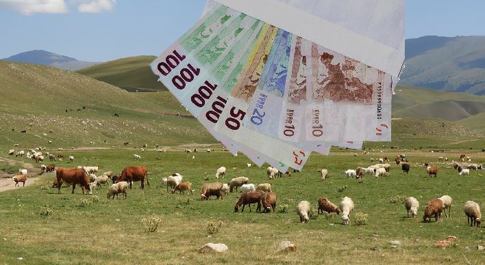 Αποζημιώσεις έως 8 εκατ. ευρώ για τυροκομικές επιχειρήσεις στη Λέσβο λόγω αφθώδους πυρετού