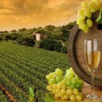 Το κράτος Μινώταυρος κι ο επενδυτής του Αμύνταιου – Γράφει ο Νίκος Γ. Σακελλαρόπουλος