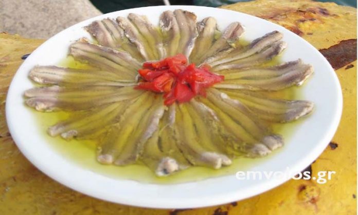 Γαυράκια μαρινάτα - Η αυθεντική συνταγή των ψαράδων