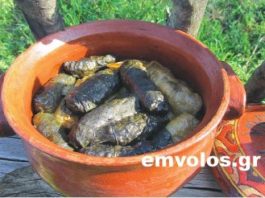 Ντολμάδες Κρητικοί