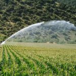 Γαλλικό ενδιαφέρον για το πρόγραμμα «Ύδωρ 2.0»- Συνάντηση του ΓΓΕΠΥ Δημ. Παπαγιαννίδη με στελέχη της Γαλλικής Πρεσβείας