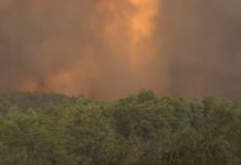 Πολύ υψηλός ο κίνδυνος πυρκαγιάς (κατηγορία κινδύνου 4) για αύριο 15/8
