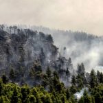 Τριάντα εννέα δασικές πυρκαγιές το τελευταίο 24ωρο σε όλη την Ελλάδα
