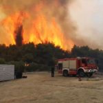 Κεφαλονιά: Κρατείται εποχικός πυροσβέστης που φέρεται να προκάλεσε δασικές πυρκαγιές