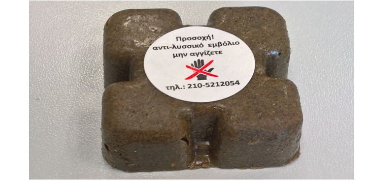 191007 αντιλυσσικό εμβόλιο κόκκινες αλεπούδες φωτο