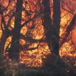 Κακές συνήθειες! – Γράφει ο Γιάννης Καφάτος