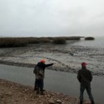 Ανακοίνωση σχετικά με την εξέλιξη του νοσήματος Αφρικανικής Πανώλης των χοίρων/αγριόχοιρων στην Ελλάδα