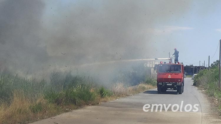 Αλεξάνδρεια: Κατασβέστηκε πυρκαγιά δίπλα από το κυνοκομείο