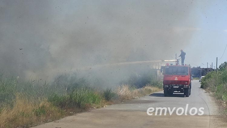Αλεξάνδρεια: Κατασβέστηκε πυρκαγιά δίπλα από το κυνοκομείο