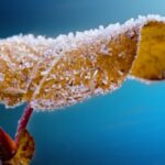 Έως τους μείον 6 βαθμούς έπεσε στη Βόρεια Ελλάδα η θερμοκρασία σήμερα το πρωί, σύμφωνα με το meteo του Αστεροσκοπείου