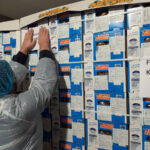 Ιστορική, πρώτη εξαγωγή ελληνικού ακτινιδίου στη Νότια Κορέα