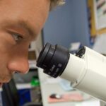 Δρομολογείται ερευνητική δράση για το Ελληνικό γενετικό υλικό της αγροτικής παραγωγής