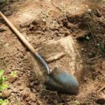 Πέλλα: Έσκαβαν για «θησαυρό» σε περιοχή της Πέλλας, αλλά βρέθηκαν στα χέρια της αστυνομίας