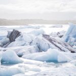 Επιστήμη – Βιολογία – Παράξενα πλάσματα ανακαλύφθηκαν τυχαία κάτω από τους θαλάσσιους πάγους της Ανταρκτικής