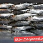 Σαρδέλες παστές