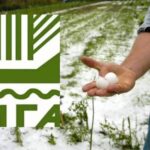 Ανακοινώθηκαν τα πορίσματα για τις καλλιέργειες των Δ/Κ Σταυρού, Ξεχασμένης, Επισκοπής και Καμποχωρίου από το ζημιογόνο αίτιο Χαλάζι της 17ης Ιουνίου 2022