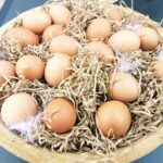Ξέρετε ότι τα αυγά βοηθούν σημαντικά την ανάπτυξη των παιδιών; – Γράφει η Σίσσυ Νίκα