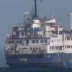 Ισπανία: Κτηνίατροι αποφασίζουν για την τύχη ενός φορτίου εκατοντάδων αγελάδων, στοιβαγμένων σε πλοίο