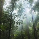 Ενημέρωση για την ενεργοποίηση των Αποφάσεων του Αντιπεριφερειάρχη Π.Ε. Ημαθίας περί απαγόρευσης κυκλοφορίας στις περιοχές ευθύνης του Δασαρχείου Βέροιας και του Δασαρχείου Νάουσας.