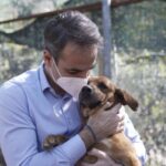 Μήνυμα του πρωθυπουργού: Οι φίλοι δεν αγοράζονται. Ανοίξτε την αγκαλιά σας και σώστε ένα αδέσποτο