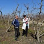 Φρόσω Καρασαρλίδου: «Άμεση ικανοποίηση των αιτημάτων των αγροτικών φορέων για τις ζημιές από τον παγετό»