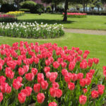 Νάουσα: Πρόσκληση στις γιορτές νερού