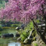 Δήμος Νάουσας: Συγκέντρωση ειδών πρώτης ανάγκης για τους πλημμυροπαθείς της Θεσσαλίας