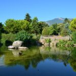 Δήμος Νάουσας: «ΦωτίΖΟΥΜΕ την πόλη μας»,