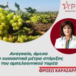 Φρόσω Καρασαρλίδου: «Στηρίζουμε τον αγώνα των αμπελουργών και των οινοποιών για επιβίωση»