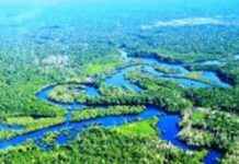 Ο Αμαζόνιος υποδέχεται τη διάσκεψη του ΟΗΕ για το Κλίμα