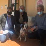 Το Κίνημα Αλλαγής θέτει ως πολιτική αφετηρία την πραγματική αγάπη για τα αδέσποτα ζώα